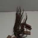 DK177 6 Pack Led Branch Light Battery Operated Lighted Branch Vase Filler Willow Tree Artificial Little Twig Power Brown 30 Inch 20 LED for Home Romantic Decoration, Warm White