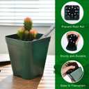 June Fox 60 Pcs Square Nursery Pots for Plants, 5 Pcs Seed Starter Tray Kit, Small Seedling Pots 4 Inch with 60 Plant Tags, Seedling Trays (Green)