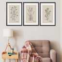 TQianJiang Set Of 3 Framed Vintage Botanical Prints Wall Art 16"11" Wildflower Pictures Wall Decor for Bedroom Bathroom Living Room Minimalist Line Drawing Neutral Tones Wall Hanging (Black)