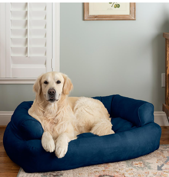 Snoozer Pet Products Luxury Overstuffed Microsuede Pet Sofa, Large, Sapphire 20x16, Sapphire, Large