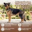 Dog Knee Brace for Torn ACL/CCL, Adjustable Hind Leg Support for Arthritis, Luxating Patella & Post-Surgery Recovery（Left Leg,L)