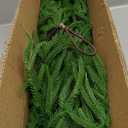 12FT Christmas Garlands Norfolk Pine Garland Real Touch Artificial Faux Greenery Garland for Holiday Indoor Outdoor Decor