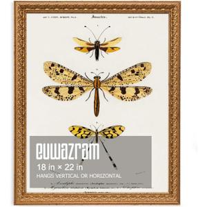 18x22 Ornate Vintage Gold Picture Frame - Single Frame, 18 x 22 Classic Poster Frame for Art Prints & Gallery Walls