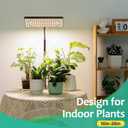 LBW Desk Grow Light, Full Spectrum Plant Light for Indoor Plants, Grow Lamps with 4/8/12H Timer, 10"-26" Height Adjustable, 6 Brightness Levels
