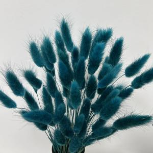 120pcs Bunny Tails Dried Flowers Spring Summer Plant Boho Pampas Grass 17 inch for Home Decor Wedding Bouquet Natural Flower Arrangements (Teal)
