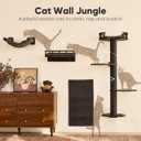 FUKUMARU Cat Wall Shelves, 4 in 1 Set, Black