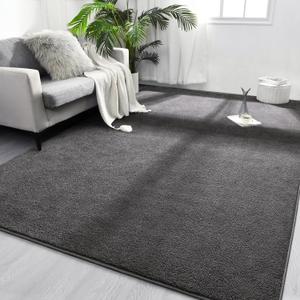 FlyDOIT Area Rugs for Bedroom Living Room, 5x8 Dark Grey Super Soft Comfy Thickened Memory-Foam Indoor Carpets, Modern Aesthetic Minimalist Carpet for Boys Girls Adults Apartment Nursery Home Dcor