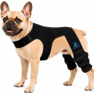 Dog Rear Knee Brace for Small & Medium Breeds, Adjustable Hind Leg Support for ACL/CCL Injury Recovery, Joint Stability, Ligament Protection & Injury Prevention (S)