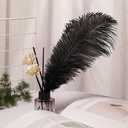 10pcs Natural Black Ostrich Feathers 14-16inch 35-40cm for Wedding Party Centerpieces, Easter Home Decorations
