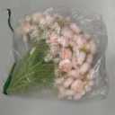Alupssuc 30Pcs Ranunculus Artificial Flowers Faux Silk Mini Ranunculus, Spring Flowers Artificial Indoor for DIY Bouquets, Bulk Fake Wedding Filler Flowers for Bride Shower Decorations, Shabby Blush