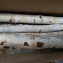 5 Pcs White Birch Poles 4 ft 1-1.5" Diameter Natural Wood Sticks