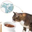 Cat Water Bowl, 16 OZ Ceramic Elevated Cat Bowls, 15 Tilted and Raised Pet Food Dish, Anti Vomiting Protect Pets' Spines and Whisker Fatigue (2 Pack, White)