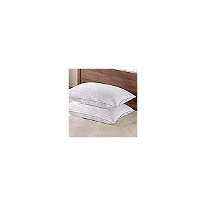 Carpenter White Pillows Mictofiber Twin Pack of 2
