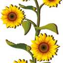 Ferraycle Wooden Sunflower Wall Decor Hanging Sunflower Outdoor Decor Rustic Flower Wall Art Yellow Large Farmhouse Signs for Indoor Bathroom Porch Patio Bedroom Accessories (Flower,Wood)
