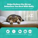 Rechargeable Cat Calming Pheromone Diffuser Kit, 60 Day Supply, No Burning Smell, Helps Reduce Stress, Scratching & Spraying