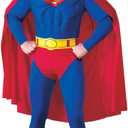 DC Comics Deluxe Muscle Chest Superman (Large)