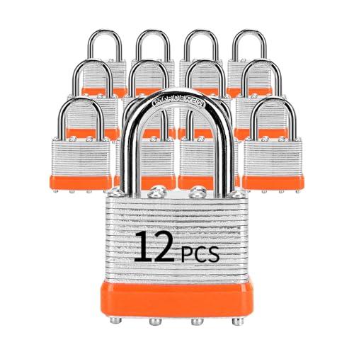 Padlocks with Same Key, LQYN 12 Pcs Laminated Keyed Padlock (1-9/16", 40mm), Keyed Alike Locks, Normal Shackle, for Storage Locker, Hasp Latch, Toolbox, Sheds