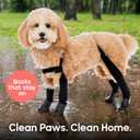 Walkee Paws Walker Paws