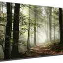 Misty Forest Canvas Wall Art Foggy Mountain Landscape Large Artwork Office Decorations Nature Trees Plant Picture for Meeting Room Lounge Living Room Wall Decor 24x48inch Framed