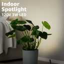 URTOM 2 Pack Indoor Spotlight LED Up Lights for Plant 120V Floor Spot Lights Accent Light Indoor Uplighting Warm White Spotlight Lamp Accent Lighting LED Uplight, 5.9 FT Plug Cord with Foot Switch