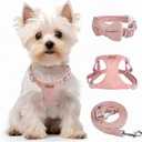 Dog Harness and Leash Set, XXS No Pull Adjustable Puppy Harness with Multifunction Pink Dog Leash and Dog Collar, Soft No Choke Escape Proof Pet Harness Vest for Small Dogs and Cats (Pink, S) (S(9-17.5lb))