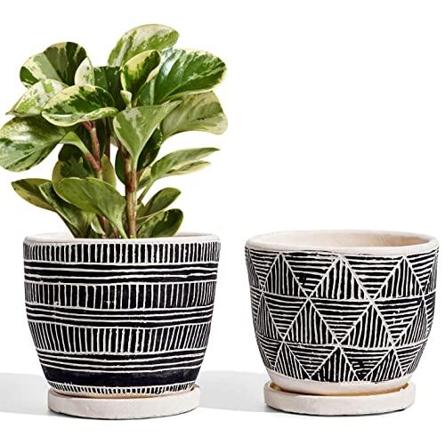 LE TAUCI 5.5 Inch Boho Plant Pots Indoor, Artisanal Cement Pots for Plants, Succulent Pots with Drainage Holes and Saucers, Planters for Indoor Plants, Set of 1  Black and Cream White