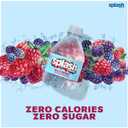 Splash Refresher, Wild Berry Flavor Water Beverage, 8 Fl Oz Plastic Bottles (24 Count) (EXP 09/18/25)