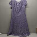 S.L. Fashions Women's Plus Size Sequin Lace Fit and Flare Dress (16P)