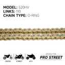 520 Motorcycle Chain 110 Links O-Ring with Connecting Master Link and Chain Breaker Heavy Duty Drive Chain for Motorcycle Bicycle Go Kart Mini Trail Bike