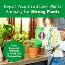 Miracle-Gro Indoor Potting Mix, Blended for a Variety of Houseplants, Feeds for up to 6 Months, 6 qt, 2-Pack