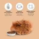 Kaytee Timothy Complete Guinea Pig Food, Made with Timothy Hay, High in Fiber, Supports Dental Health and Digestion, Long-lasting Vitamin C, 5 pounds