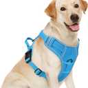Joytale Step-in No Pull Dog Harness for Large Dogs with 2 Leash Clips, Reflective Pet Vest with Easy Control Handle, Adjustable Soft Padded Harness for Walking and Training, Aqua Blue, L