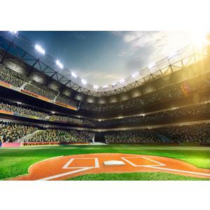 7x5 FT Baseball Sports Backdrop Baseball Photo Photography Backdrop Field Backdrop for Party Supplies Banner Home Decor Birthday Portrait Photo Booth Studio Prop