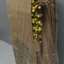 Sggvecsy 10 Pcs 29.5 Long Artificial Jasmine Flowers Tall Fake Flower Bouquet Faux Jasmine Plants Dry Branches for Wedding Home Party Office Hotel Restaurant Kitchen DecorationYellow