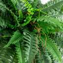 Nearly Natural 40in Hanging Artificial Boston Fern Plant Set of 2 - Realistic Faux Greenery for Indoor Home, Office, and Bathroom Decor