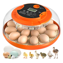 18 Egg Incubator with Automatic Egg Turning and Humidity Control, Incubators for Hatching Eggs, Chicken, Ducks, Goose, Pigeon, Quail, Parrot Incubator for Farm, Lab, Science Classroom, Home (Orange)