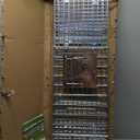 32" Live Animal Cage Trap,Heavy Duty Raccoon Traps,32" x 12.5" x 12" Humane Cat Trap Galvanized Steel Folding Small Animal Live Trap with Handle for Rabbits,Groundhogs & Opossums Catch & Release