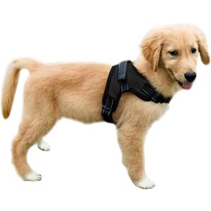No Pull Reflective Adjustable Dog Harness With Handle- Comfortable Soft All Weather Mesh, Easy On Puppy Harness For Small Medium and Large Dogs (Black) Medium
