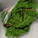 9 FT Christmas Norfolk Pine Garland Real Touch Artificial Greenery Garland Faux Pine Garlands for Mantel Fireplace Table Stairs Indoor Outdoor Christmas Decor, Bonus Gold Ribbon with LED Lights