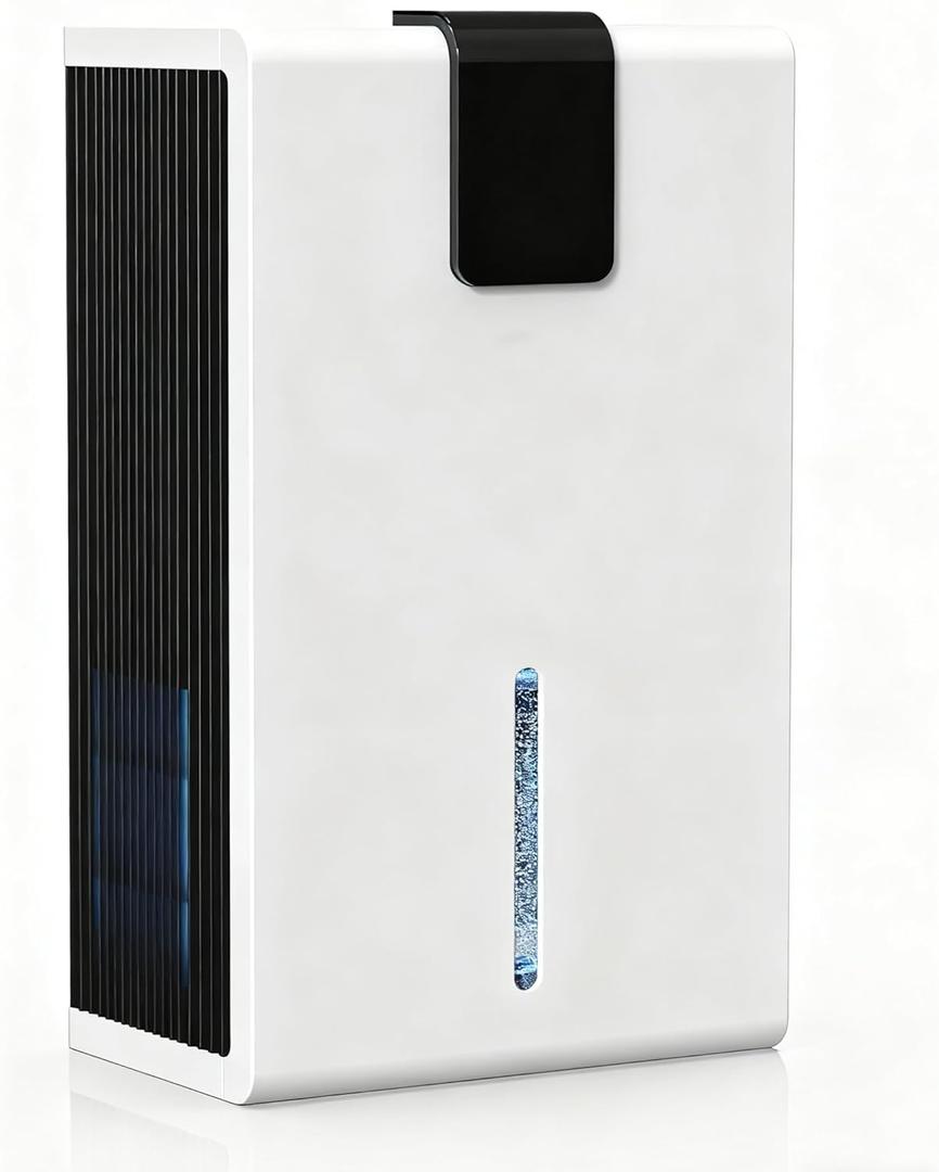 Dehumidifiers for Home