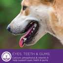 Wellness 95% Chicken Grain Free Natural Wet Canned Dog Food, 13.2-Ounce Can