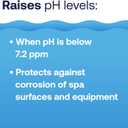 HTH Spa 86133 pH Up, Spa & Hot Tub Chemical Raises pH, Prevents Corrosion, 2 lbs