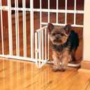 Carlson 24-38" Lil Tuffy Expandable Metal Dog Gate for Doorways, Indoor Pet Gate with Small Pet Door, No-Drill Pressure Mount, White
