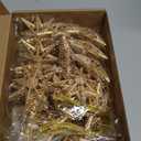 Civaner 24 Pcs Champagne Star Ornaments for Christmas Tree 3.15 Inch Bethlehem Star Ornament 8 Point Champagne Glitter Stars Ornaments 3D Hollow Stars Hanging Pendant for Decoration Xmas Party