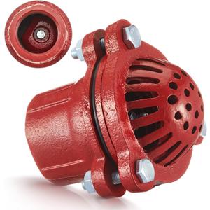 2 Inch Cast Iron Foot Valve NPT Painted Carbon Threaded Foot Valve for Water Service Only
