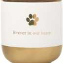 Pearhead Pet Ceramic Forever in Our Hearts Urn, Pet Memorial, Dog Or Cat Keepsake Urn, Rainbow Bridge, Gold