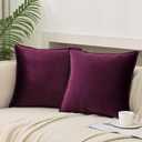 JIAHANNHA Velvet Black Throw Pillow Covers Pack of 2 Decorative Soft for Couch Sofa Bedroom Livingroom Car Office 22х22 Inches