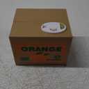 Matney Stealing Coin Cat Box- Piggy Bank - White Kitty - English Speaking