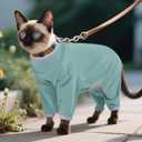 DENTRUN Cat Clothes for Hair Control with Hair Sticky Fabric - Soft Recovery Suit & Breathable Lint-Resistant Cat Sweater for Cats Only, Kitten Onesie Pajamas, XXL, Bean Green
