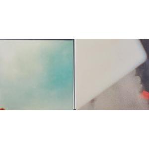 The Fragile: Deviations 1, Vinyl